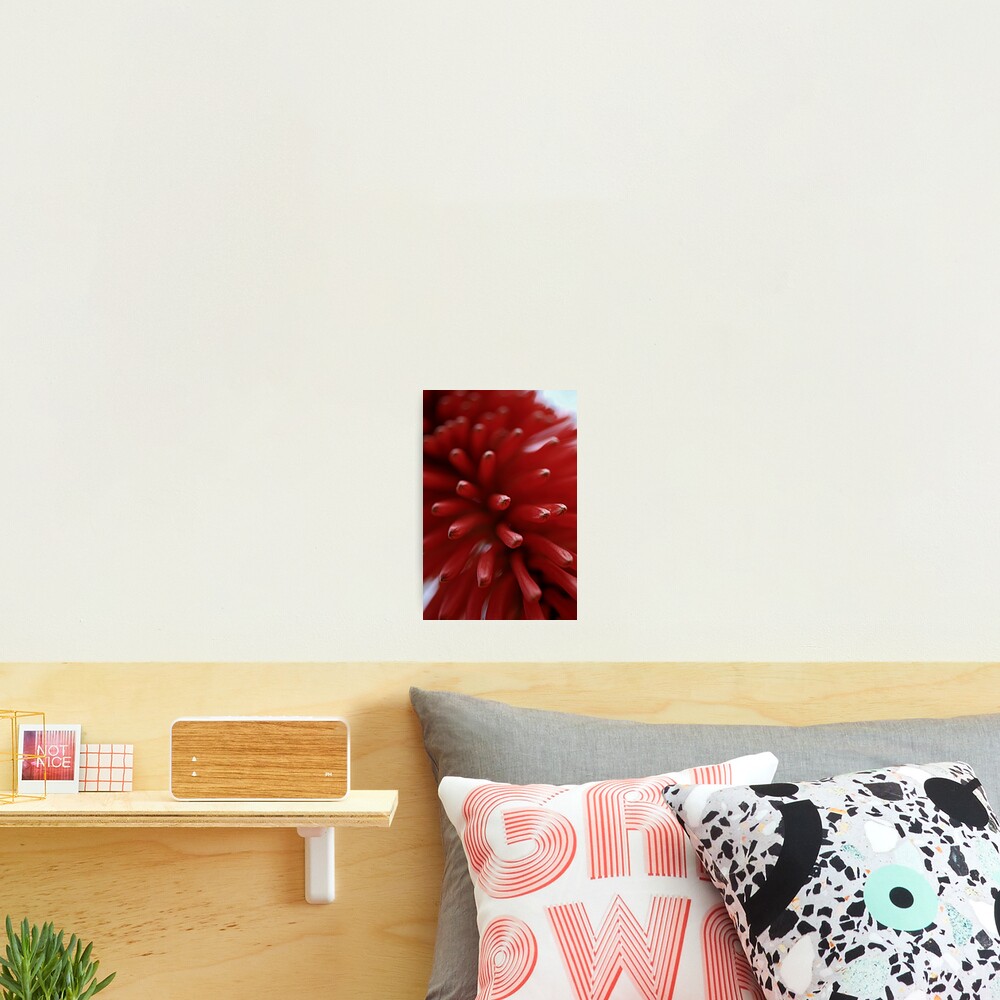 Item preview, Photographic Print designed and sold by TamaraC.