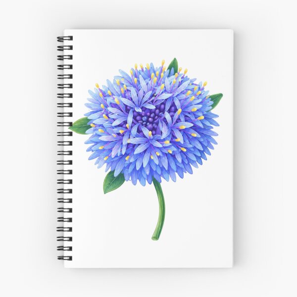 Item preview, Blue Pincushion Flower Illustration  designed and sold by SarahsArtAndCrafts.