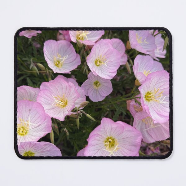 Item preview, Glowing Primroses designed and sold by Betsy Phillips.