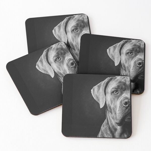 Item preview, lollipop - cane corso designed and sold by O-I-B-F-M-P-T-A.