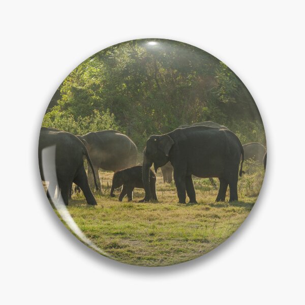 Item preview, Herd of elephants at sundown designed and sold by Photopat.