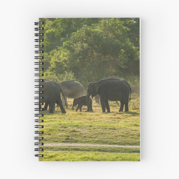 Item preview, Herd of elephants at sundown designed and sold by Photopat.