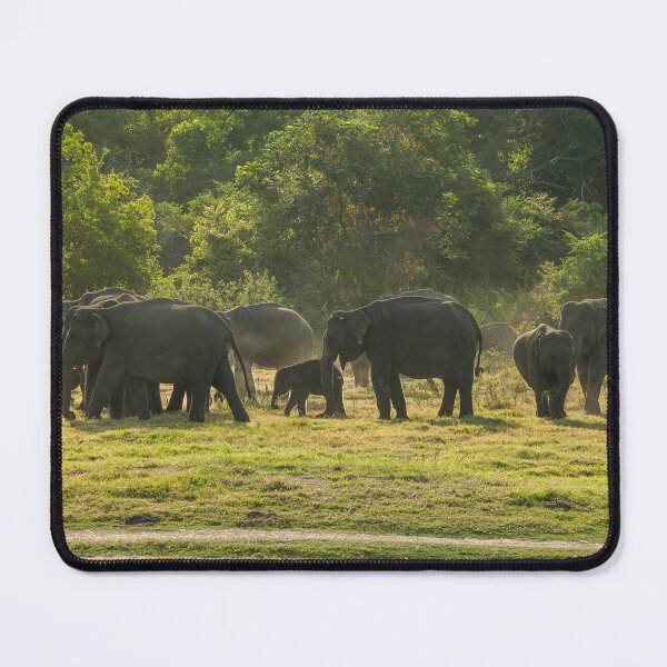 Item preview, Herd of elephants at sundown designed and sold by Photopat.