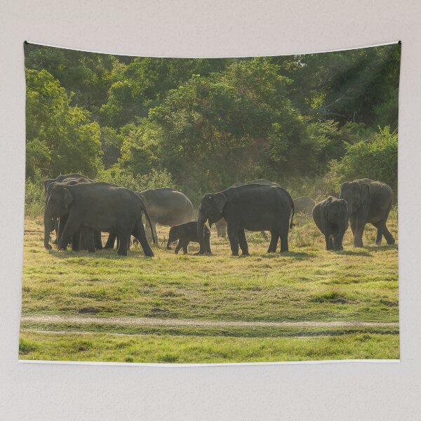 Item preview, Herd of elephants at sundown designed and sold by Photopat.