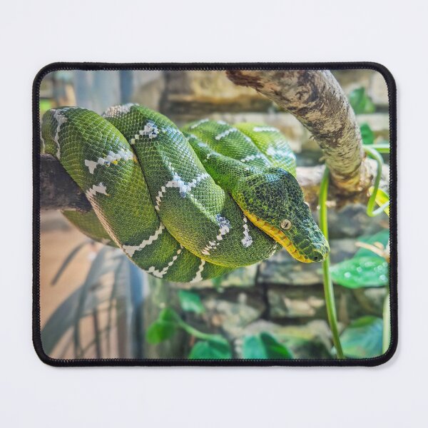 Item preview, Emerald Tree Boa  designed and sold by psychoshadow.