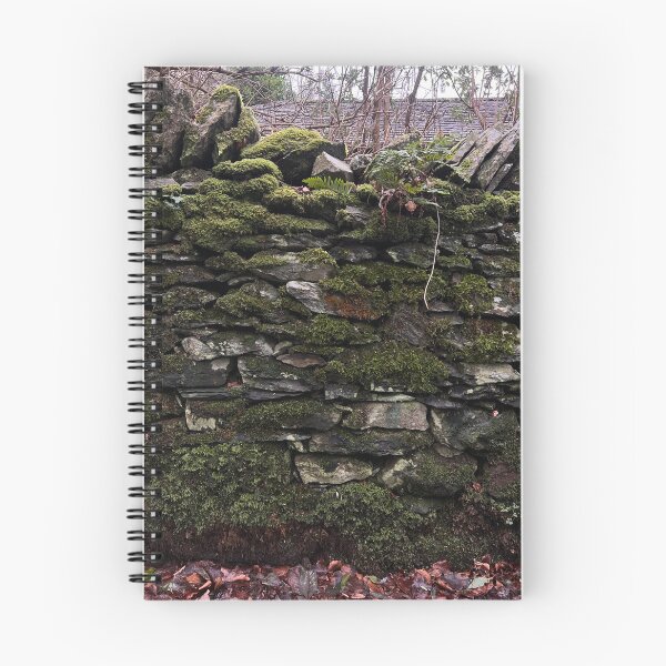 Item preview, Mossy brick wall designed and sold by FindMebyTalia.