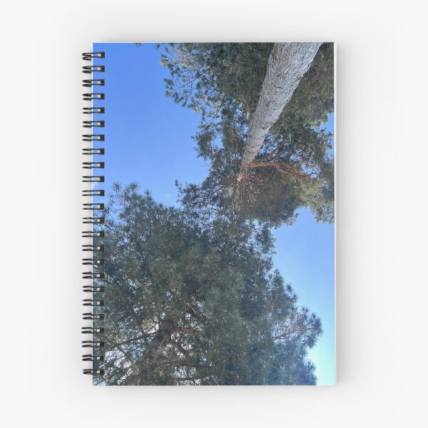 Item preview, Two tall trees among the blue sky designed and sold by FindMebyTalia.