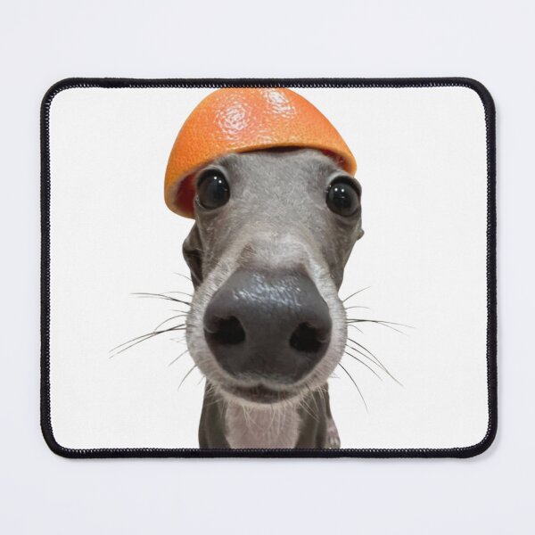 Item preview, Cute Dog Portrait – Minimal Pet Photography Design designed and sold by Baymang.