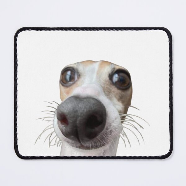 Item preview, Cute Dog Portrait – Minimal Pet Photography Design designed and sold by Baymang.