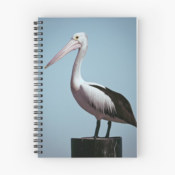 Item preview, Australian Pelican designed and sold by susiinoz.