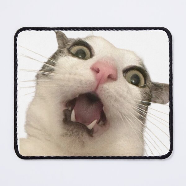 Item preview, Cute Cat Portrait – Minimal Pet Photography Design designed and sold by Baymang.