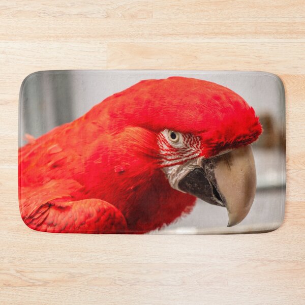 Item preview, Scarlet Red Macaw Portrait | Vibrant Tropical Parrot Exotic Wildlife Bird Art designed and sold by Ross.A.Campbell.