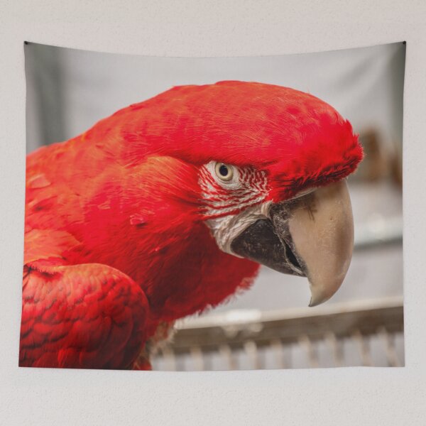 Item preview, Scarlet Red Macaw Portrait | Vibrant Tropical Parrot Exotic Wildlife Bird Art designed and sold by Ross.A.Campbell.