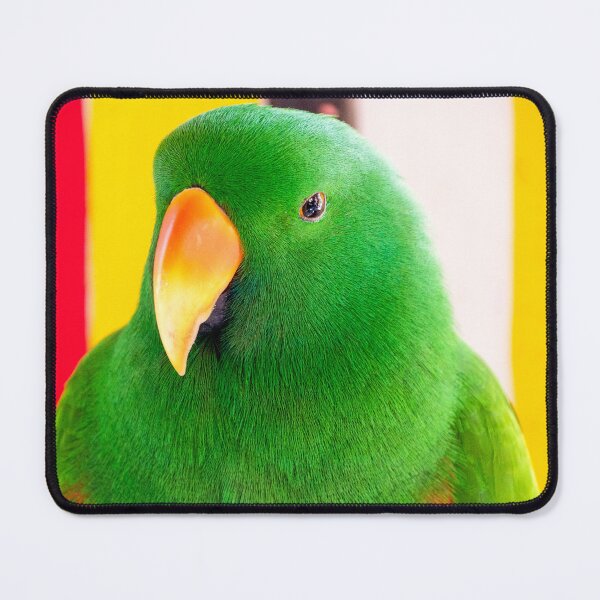 Item preview, Male Eclectus Parrot Portrait | Vibrant Emerald Green Tropical Wildlife Bird Art designed and sold by Ross.A.Campbell.