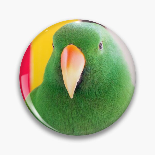 Item preview, Male Eclectus Parrot Portrait | Vibrant Emerald Green Tropical Wildlife Bird Art designed and sold by Ross.A.Campbell.