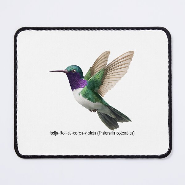 Item preview, beija flor designed and sold by Edu-Mendonca.