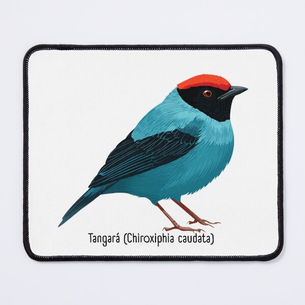 Item preview, ave, tangara,passarinho designed and sold by Edu-Mendonca.