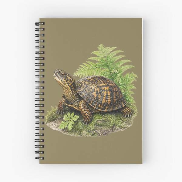 Item preview, Eastern Box Turtle with Ferns designed and sold by BloomStudio1.