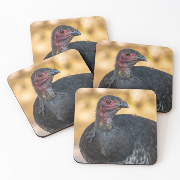 Item preview, Australian Brushturkey Portrait | Vibrant Native Megapode - Rainforest Wildlife Australia Art designed and sold by Ross.A.Campbell.