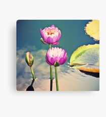 Pink Lotus Flowers (Namaste) Canvas Print