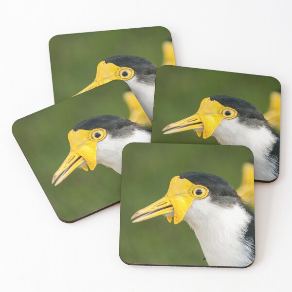 Item preview, Australian Masked Lapwing Portrait | Vibrant Yellow Plover - Native Grassland Wildlife Art designed and sold by Ross.A.Campbell.