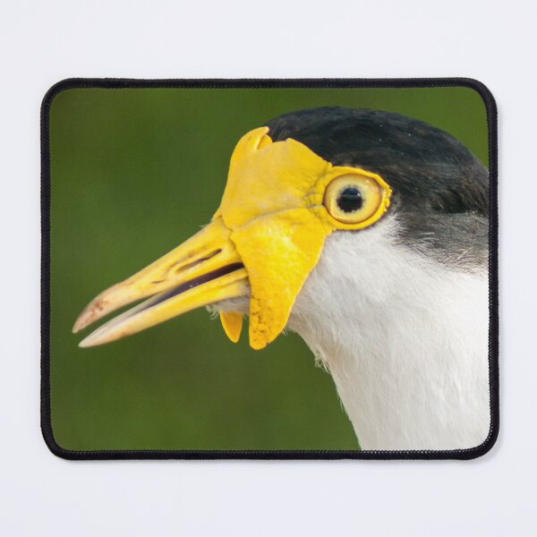 Item preview, Australian Masked Lapwing Portrait | Vibrant Yellow Plover - Native Grassland Wildlife Art designed and sold by Ross.A.Campbell.