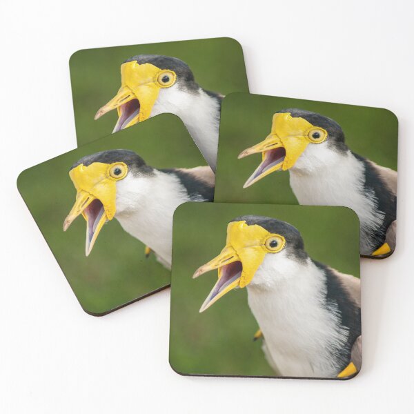 Item preview, Australian Masked Lapwing Portrait | Vibrant Yellow Plover - Native Grassland Wildlife Art designed and sold by Ross.A.Campbell.