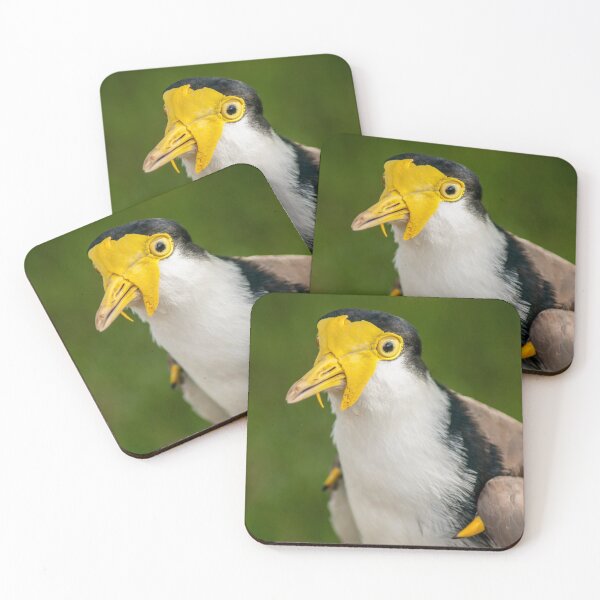 Item preview, Australian Masked Lapwing Portrait | Vibrant Yellow Plover - Native Grassland Wildlife Art designed and sold by Ross.A.Campbell.