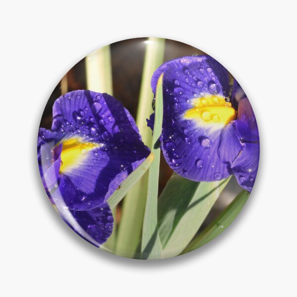 Item preview, Vibrant Purple Irises with Raindrops designed and sold by LisaWootenPhoto.