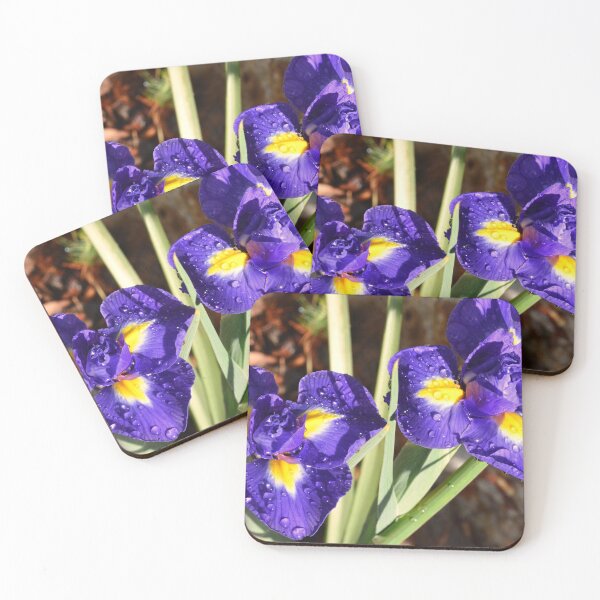 Item preview, Vibrant Purple Irises with Raindrops designed and sold by LisaWootenPhoto.