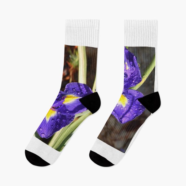 Item preview, Vibrant Purple Irises with Raindrops designed and sold by LisaWootenPhoto.