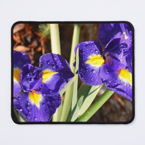 Item preview, Vibrant Purple Irises with Raindrops designed and sold by LisaWootenPhoto.