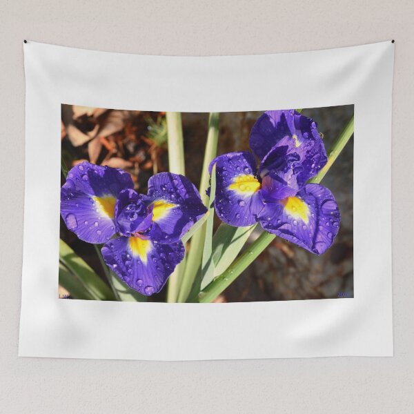 Item preview, Vibrant Purple Irises with Raindrops designed and sold by LisaWootenPhoto.