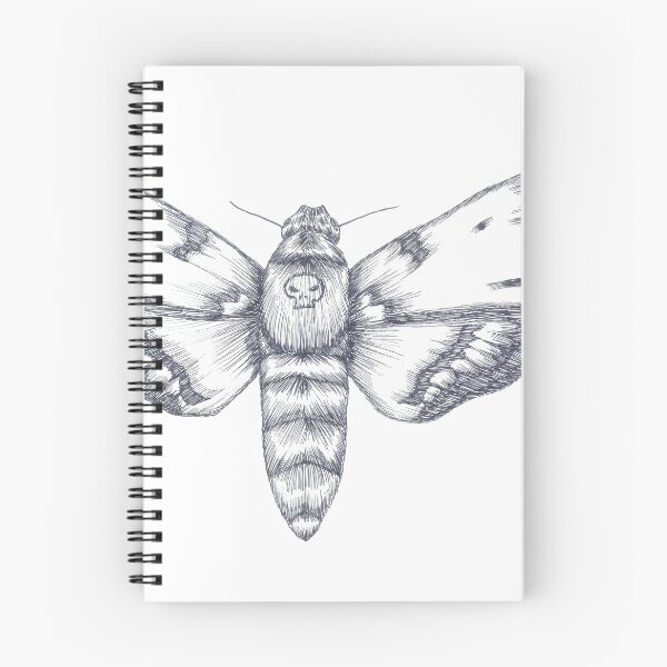 Item preview, Death Head Moth Ink Illustration designed and sold by Nocturnal Ink Studio.