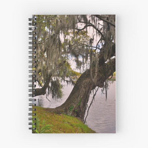 Item preview, Two Oak Trees Hanging Out By The River designed and sold by LisaWootenPhoto.
