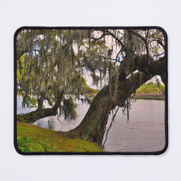 Item preview, Two Oak Trees Hanging Out By The River designed and sold by LisaWootenPhoto.