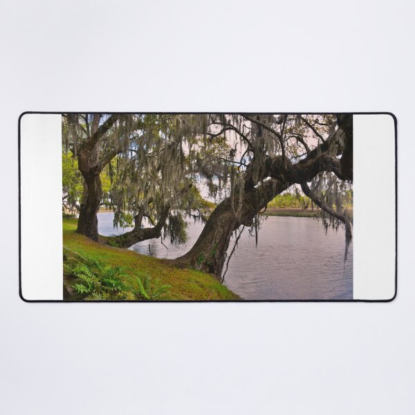 Item preview, Two Oak Trees Hanging Out By The River designed and sold by LisaWootenPhoto.