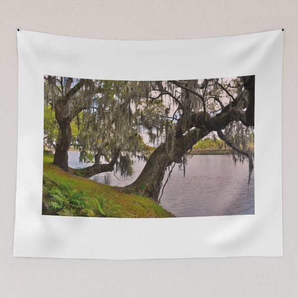 Item preview, Two Oak Trees Hanging Out By The River designed and sold by LisaWootenPhoto.