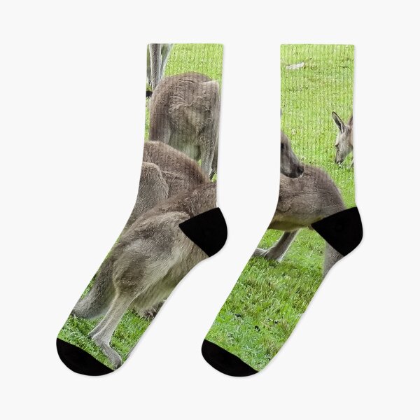 Item preview, Mob of Eastern Grey Kangaroos - Australia | Iconic Wildlife & Nature Landscape Art designed and sold by Ross.A.Campbell.