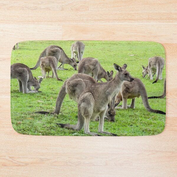 Item preview, Mob of Eastern Grey Kangaroos - Australia | Iconic Wildlife & Nature Landscape Art designed and sold by Ross.A.Campbell.