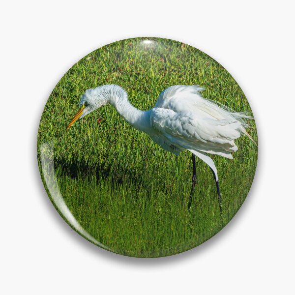 Item preview, Great Egret Decides to "Shake It Off" designed and sold by Pondside-Pics.