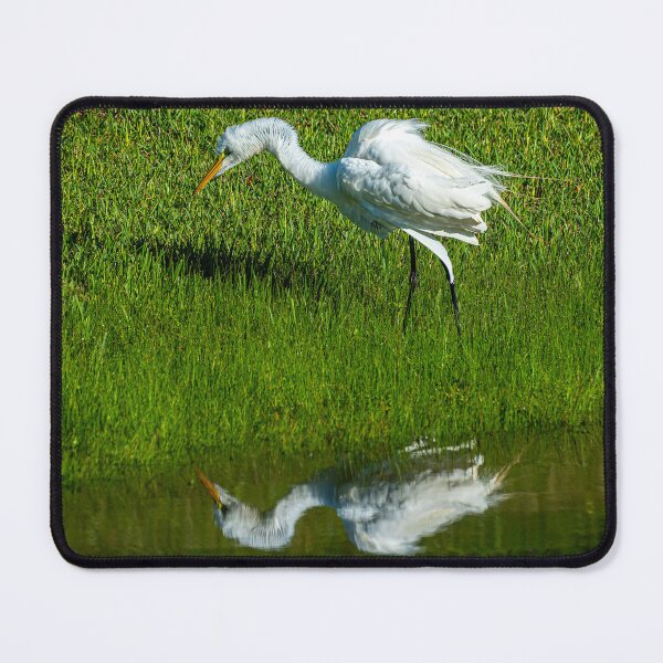 Item preview, Great Egret Decides to "Shake It Off" designed and sold by Pondside-Pics.