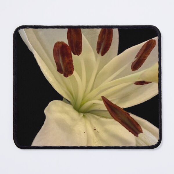 Item preview, Elegant White Lily Macro Fine Art Photography designed and sold by BalkanBloom.