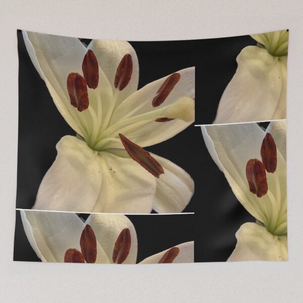 Item preview, Elegant White Lily Macro Fine Art Photography designed and sold by BalkanBloom.