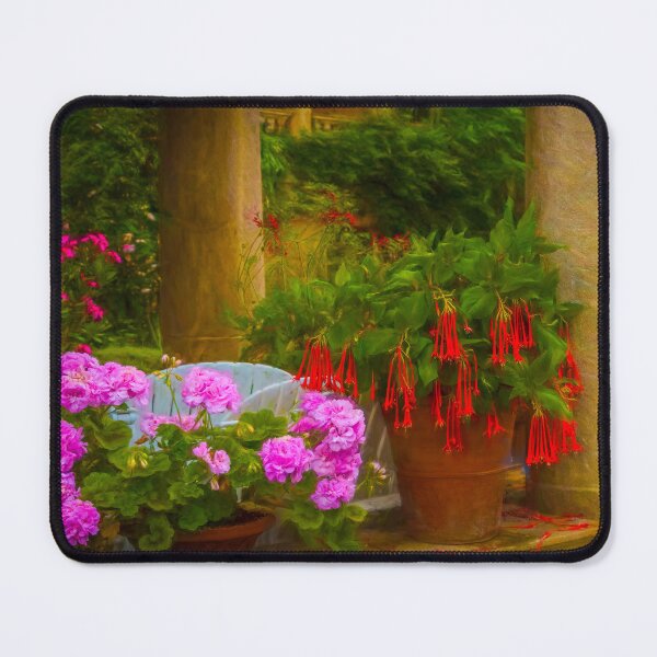 Item preview, Romantic Italianate Style Terrace and Planting designed and sold by Viv Thompson Photography .