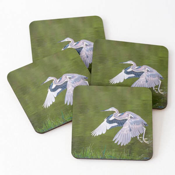 Item preview, Tricolor Heron Jumping Over a Deep Spot designed and sold by Pondside-Pics.