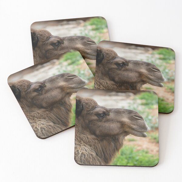 Item preview, Camel Wildlife Desert Animal Lover designed and sold by Aureliuszorp.