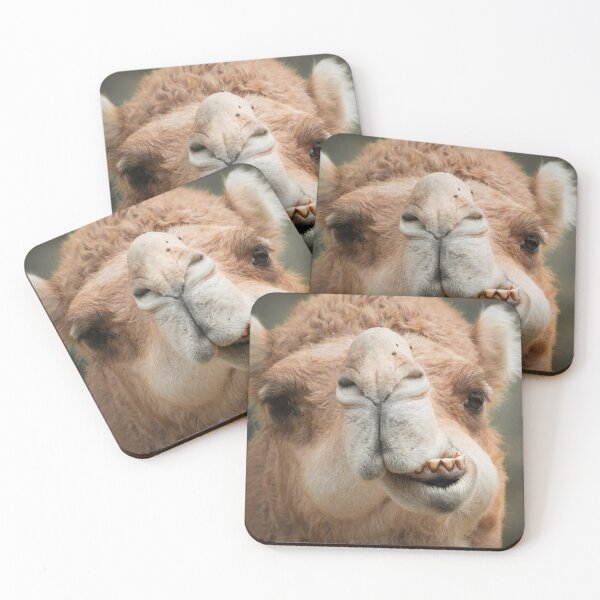 Item preview, Funny Camel Grin Animal Lover Wildlife designed and sold by Aureliuszorp.