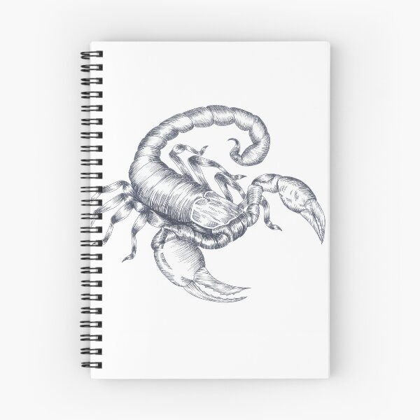 Item preview, Emperor Scorpion Hand Inked Design designed and sold by Nocturnal Ink Studio.