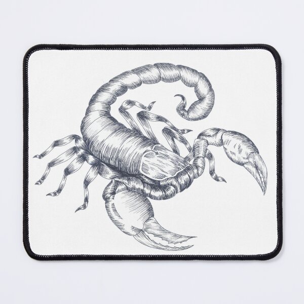 Item preview, Emperor Scorpion Hand Inked Design designed and sold by Nocturnal Ink Studio.